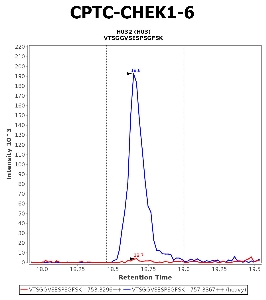 Click to enlarge image Immuno-MRM chromatogram of CPTC-CHEK1-6 antibody (see CPTAC assay portal for details: https://assays.cancer.gov/CPTAC-5888)
Data provided by the Paulovich Lab, Fred Hutch (https://research.fredhutch.org/paulovich/en.html). Data shown were obtained from cell lysate.