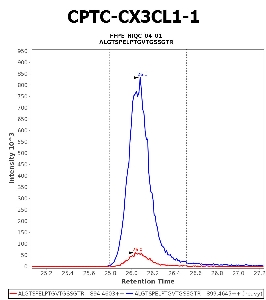 Click to enlarge image Immuno-MRM chromatogram of CPTC-CX3CL1-1 antibody (see CPTAC assay portal for details: https://assays.cancer.gov/CPTAC-5967)
Data provided by the Paulovich Lab, Fred Hutch (https://research.fredhutch.org/paulovich/en.html). Data shown were obtained from FFPE tumor tissue lysate pool.