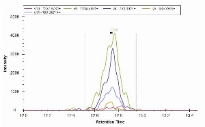 Click to enlarge image iMRM screening of CPTC-ERRFI1-1 against synthetic peptide VSSTHY-pY-LLPERPPYLDK. The antibody was not able to pull down the other two peptides VSSTH-pY-pY-LLPERPPYLDK and VSSTH-pY-YLLPERPPYLDK.