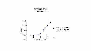 Click to enlarge image Indirect ELISA using CPTC-2MeSC-1 as primary antibody against BSA-conjugated Itaconate peptide, coated on the plate and detected using the goat anti- mouse antibody and TMB.