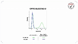 Click to enlarge image Flow cytometric analysis of Long-chain fatty acid transport protein 3 (SLC27A3) expression using CPTC-SLC27A3-3 mouse monoclonal antibody. MALME-3M cells were fixed, permeabilized, and then stained with CPTC-SLC27A3-3 (solid green) or concentration-matched mouse isotype control (dashed green) antibodies. OVCAR8 cells were fixed, permeabilized, and then stained with CPTC-SLC27A3-3 (solid blue) or concentration-matched mouse isotype control (dashed blue) antibodies. A BV421 conjugated goat anti-mouse IgG was used as a secondary antibody. All data were analyzed using FlowJo.