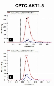 Click to enlarge image iMRM screening results for clone CPTC-AKT1-5. The clone is able to pull down the target peptide (panel 1, CPTC-AKT1 Peptide 5, (pT)FCGTPEYLAPEVLEDNDYGRK) and the correspondent non-phosphorylated peptide (panel 2, TFCGTPEYLAPEVLEDNDYGR)

Data provided by the Paulovich Lab, Fred Hutch (https://research.fredhutch.org/paulovich/en.html)