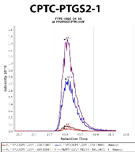 Click to enlarge image Immuno-MRM chromatogram of CPTC-PTGS2-1 antibody (see CPTAC assay portal for details: https://assays.cancer.gov/CPTAC-5960)
Data provided by the Paulovich Lab, Fred Hutch (https://research.fredhutch.org/paulovich/en.html). Data shown were obtained from FFPE tumor tissue lysate pool.