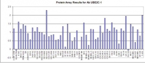 Click to enlarge image Protein Array in which CPTC-UBE2C-1 is screened against the NCI60 cell line panel for expression. Data is normalized to a mean signal of 1.0 and standard deviation of 0.5.