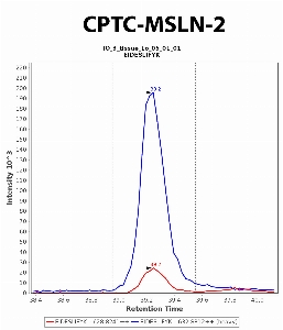 Click to enlarge image Immuno-MRM chromatogram of CPTC-MSLN-2 antibody (see CPTAC assay portal for details: https://assays.cancer.gov/CPTAC-6242)
Data provided by the Paulovich Lab, Fred Hutch (https://research.fredhutch.org/paulovich/en.html). Data shown were obtained from frozen tissue