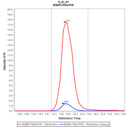 Click to enlarge image Immuno-MRM chromatogram of CPTC-RRM2-1 antibody (see CPTAC assay portal for details: https://assays.cancer.gov/CPTAC-3255)

Data provided by the Paulovich Lab, Fred Hutch (https://research.fredhutch.org/paulovich/en.html)