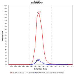 Click to enlarge image Immuno-MRM chromatogram of CPTC-RRM2-1 antibody (see CPTAC assay portal for details: https://assays.cancer.gov/CPTAC-3255)

Data provided by the Paulovich Lab, Fred Hutch (https://research.fredhutch.org/paulovich/en.html)