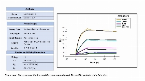 Click to enlarge image Affinity and binding kinetics of CPTC-BRAF-6 and full length BRAF recombinant protein were measured using surface plasmon resonance. Full-length BRAF recombinant protein was amine coupled onto a Series S CM5 biosensor chip.  CPTC-BRAF-6 antibody was used as analyte and was titrated at 64 nM, 16 nM, 4 nM, 1 nM, and 0.25 nM.  All binding data were double-referenced and analyzed globally using a 1:1 fitting model.  Kinetic constants were difficult to determine.  Try to extend the dissociation time.