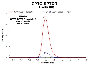 Click to enlarge image Immuno-MRM chromatogram of CPTC-RPTOR-1 antibody with CPTC-RPTOR peptide 2 (NCI ID#136) as target