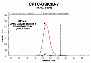 Click to enlarge image Immuno-MRM chromatogram of CPTC-GSK3B-7 antibody with CPTC-GSK3B peptide 4 (NCI ID#00120) as target