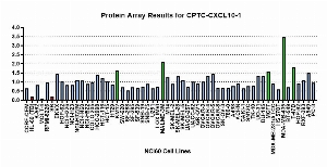 Click to enlarge image Protein Array in which CPTC-CXCL10-1 is screened against the NCI60 cell line panel for expression. Data is normalized to a mean signal of 1.0 and standard deviation of 0.5.