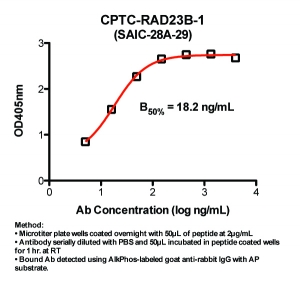 Click to enlarge image Indirect ELISA (ie, binding of Antibody to Peptide coated plate). Note: B50% represents the concentration of Ab required to generate 50% of maximum binding.