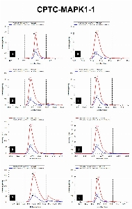 Click to enlarge image iMRM screening results for clone CPTC-MAPK1-1. The clone is able to pull down not only the target peptide (panel 1, CPTC-MAPK1 Peptide 1, VADPDHDHTGFL(pT)E(pY)VATR), but also the following peptides: 
CPTC-MAPK1 Peptide 2 (VADPDHDHTGFL(pT)EYVATR, panel 2)
CPTC-MAPK1 Peptide 3 (VADPDHDHTGFLTE(pY)VATR, panel 3)
MAPK1 non-phosphorylated peptide (VADPDHDHTGFLTEYVATR, panel 4)
CPTC-MAPK3 Peptide 1 (IADPEHDHTGFLTEYVATR, panel 5)
CPTC-MAPK3 Peptide 6 (IADPEHDHTGFL(pT)EYVATR, panel  6)
CPTC-MAPK3 Peptide 7 (IADPEHDHTGFLTE(pY)VATR, panel 7)
MAPK3 double phosphorylated peptide (IADPEHDHTGFL(pT)E(pY)VATR, panel 8).

Data provided by the Paulovich Lab, Fred Hutch (https://research.fredhutch.org/paulovich/en.html)