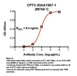 Click to enlarge image Indirect ELISA (ie, binding of Antibody to Antigen coated plate). Note: B50% represents the concentration of Ab required to generate 50% of maximum binding.