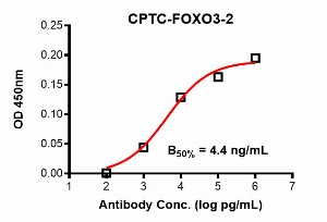 Click to enlarge image Indirect ELISA using CPTC-FOXO3-2 as primary antibody against FOX03 domain comprising amino acids 355-673.