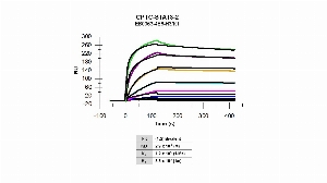 Click to enlarge image Affinity and binding kinetics of CPTC-STAT3-2 and human signal transducer and activator of transcription 3 (acute-phase response factor) (STAT3) recombinant protein, transcript variant 1, were measured using surface plasmon resonance. Recombinant protein was amine coupled onto a series S CM5 biosensor chip. CPTC-STAT3-2 antibody at 1024 nM, 256 nM, 64 nM, 16 nM, 4 nM, 1.0 nM and 0.25 nM, was used as analyte. Binding data were double-referenced and analyzed globally using a bivalent model.