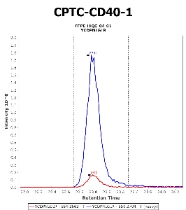 Click to enlarge image Immuno-MRM chromatogram of CPTC-CD40-1 antibody (see CPTAC assay portal for details: https://assays.cancer.gov/CPTAC-5956)
Data provided by the Paulovich Lab, Fred Hutch (https://research.fredhutch.org/paulovich/en.html). Data shown were obtained from FFPE tumor tissue lysate pool.