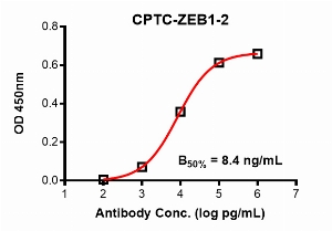 Click to enlarge image Indirect ELISA using CPTC-ZEB1-2 as primary antibody against ZEB1 domain comprising amino acids 300-510.