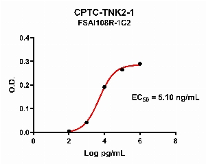 Click to enlarge image Indirect ELISA using CPTC-TNK2-1 as primary antibody against CPTC-TNK2 peptide.
