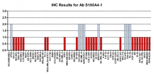 Click to enlarge image Immunohistochemistry of CPTC-S100A4-1 for NCI60 Cell Line Array. Data scored as:
0=NEGATIVE
1=WEAK (red)
2=MODERATE (blue)
3=STRONG (green)
Titer: 1:15000
