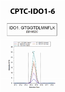 Click to enlarge image Immuno-MRM using CPTC-IDO1-6 as capture antibody against the synthetic peptide GTGGTDLMNFLK.  Antibody CPTC-IDO1-6 captures the synthetic peptide.