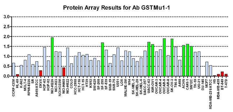 Click to enlarge image Protein Array in which CPTC-GSTMu1-1 is screened against the NCI60 cell line panel for expression. Data is normalized to a mean signal of 1.0 and standard deviation of 0.5. Color conveys over-expression level (green), basal level (blue), under-expression level (red).