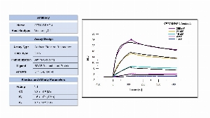 Click to enlarge image Affinity and binding kinetics of CPTC-BRAF-4 antibody and full-length BRAF recombinant protein were measured using surface plasmon resonance. Full-length BRAF recombinant protein was amine coupled onto a Series S CM5 biosensor chip. CPTC-BRAF-4 mouse antibody was used as analyte and was titrated at 256 nM, 64 nM, 16 nM, 4 nM, and 1 nM.  All binding data were double-referenced and analyzed globally using a 1:1 fitting model.