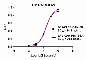 Click to enlarge image Indirect ELISA using CPTC-CGB-9 as primary antibody against BSA-conjugated Chorionic Gonadotropin Subunit Beta Peptide 3 (LPG(CAM)PRC-BSA) and BSA-conjugated Chorionic Gonadotropin Subunit Beta Peptide 3 (BSA-CLPG(CAM)PR).
