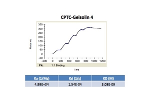 Click to enlarge image Kinetic titration data for Gelsolin-4 antibody using Biacore SPR method