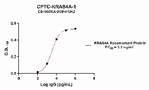 Click to enlarge image Indirect ELISA using CPTC-KRAS4A-1 as primary antibody against KRAS4A recombinant protein.