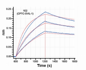 Click to enlarge image Affinity and binding kinetics of CPTC-SVIL-1 and h340 recombinant protein using biolayer interferometry. CPTC-SVIL-1 antibody was covalently immobilized on amine-reactive second-generation sensors. H340 recombinant protein, 4 nM, 8 nM, and 16 nM, was used as analyte. R2 = 0.983. Rate constants were calculated by applying a 2:1 (heterogeneous) interaction model (global fit, full). KD (nM) – 4.21, Ka (1/Ms) – 1.18 x 105, Kd (1/s) – 4.96 x 10-4.