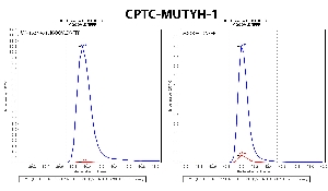 Click to enlarge image Immuno-MRM chromatogram of CPTC-MUTYH-1 antibody (see CPTAC assay portal for details: https://assays.cancer.gov/CPTAC-6218 for oxidized peptide and https://assays.cancer.gov/CPTAC-6229 for not oxidized peptide)
Data provided by the Paulovich Lab, Fred Hutch (https://research.fredhutch.org/paulovich/en.html). Data shown were obtained from frozen tissue