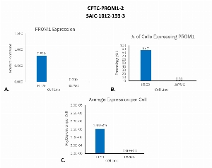 Click to enlarge image Single cell western blot using CPTC-PROM1-2 as a primary antibody against cell lysates.  Relative expression of total PROM1 in HT-29 and U87MG cells (A).  Percentage of cells that express PROM1 (B).  Average expression of PROM1 protein per cell (C).  All data is normalized to β-tubulin expression.
