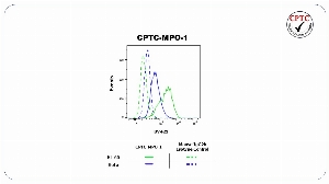 Click to enlarge image Flow cytometric analysis of Myeloperoxidase (MPO) expression using CPTC-MPO-1 mouse IgG2b antibody. HL-60 cells were fixed, permeabilized, and then stained with CPTC-MPO-1 (solid green) or concentration-matched mouse IgG2b isotype control (dashed green) antibodies. HeLa cells were fixed, permeabilized, and then stained with CPTC-MPO-1 (solid blue) or concentration-matched mouse IgG2b isotype control (dashed blue) antibodies. A BV421 conjugated goat anti-mouse IgG was used as a secondary antibody. All data were analyzed using FlowJo.