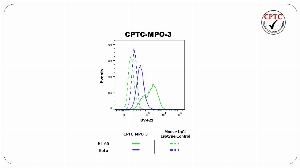 Click to enlarge image Flow cytometric analysis of Myeloperoxidase (MPO) expression using CPTC-MPO-3 mouse IgG1 antibody. HL-60 cells were fixed, permeabilized, and then stained with CPTC-MPO-3 (solid green) or concentration-matched mouse IgG1 isotype control (dashed green) antibodies. HeLa cells were fixed, permeabilized, and then stained with CPTC-MPO-3 (solid blue) or concentration-matched mouse IgG1 isotype control (dashed blue) antibodies. A BV421 conjugated goat anti-mouse IgG was used as a secondary antibody. All data were analyzed using FlowJo