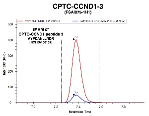 Click to enlarge image Immuno-MRM chromatogram of CPTC-CCND1-3 antibody with CPTC-CCND1 peptide 3 (NCI ID#00132) as target