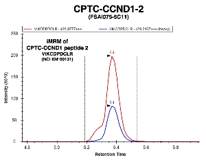 Click to enlarge image Immuno-MRM chromatogram of CPTC-CCND1-2 antibody with CPTC-CCND1 peptide 2 (NCI ID#00131) as target