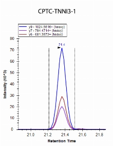 Click to enlarge image iMRM data obtained using antibody CPTC-TNNI3-1 to immuno-precipitate peptide NITEIADLTQK (CPTC-TNNI3 Peptide 1)

Data provided by the Carr Lab, Broad Institute
https://www.broadinstitute.org/proteomics/protocols