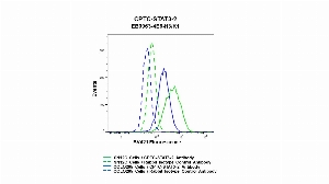 Click to enlarge image Flow cytometric analysis of STAT3 expression in SN12C and COLO205 cells using CPTC-STAT3-2 rabbit antibody. SN12C cells were permeabilized, fixed and then stained with CPTC-STAT3-2 antibody (solid green) or concentration-matched rabbit isotype control antibody (dashed green). COLO205 cells were permeabilized, fixed and then stained with CPTC-STAT3-2 (solid blue) or concentration-matched rabbit isotype control antibody (dashed blue) and then fixed. A BV421 conjugated goat anti-rabbit IgG (H+L) was used as a secondary antibody. All data were analyzed using FlowJo.  CPTC-STAT3-2 antibody can detect expression of STAT3 in both SN12C and COLO205 cells.