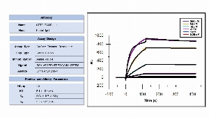 Click to enlarge image Affinity and binding kinetics of CPTC-PSMB11-1 antibody and BSA-conjugated peptide "VEQEEVTPEDCAIIMKTETM" were measured using surface plasmon resonance. BSA-conjugated peptide was amine coupled onto a Series S CM5 biosensor chip.  CPTC-PSMB11-1 rabbit antibody was used as analyte and was titrated at 256 nM, 64 nM, 16 nM, 4 nM, 1 nM, and 0.25 nM. All binding data were double-referenced and analyzed globally using a 1:2 bivalent fitting model. 