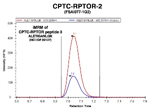 Click to enlarge image Immuno-MRM chromatogram of CPTC-RPTOR-2 antibody with CPTC-RPTOR peptide 3 (NCI ID#137) as target