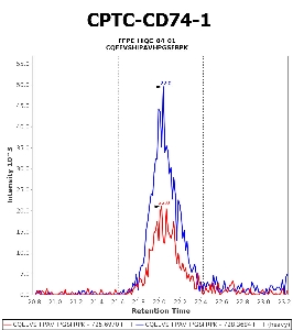 Click to enlarge image Immuno-MRM chromatogram of CPTC-CD74-1 antibody (see CPTAC assay portal for details: https://assays.cancer.gov/CPTAC-5941)
Data provided by the Paulovich Lab, Fred Hutch (https://research.fredhutch.org/paulovich/en.html). Data shown were obtained from FFPE tumor tissue lysate pool.