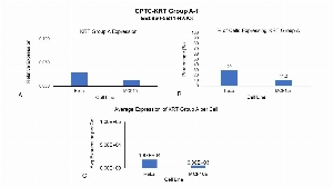Click to enlarge image Single cell western blot using CPTC-KRT Group A-1 as a primary antibody against cell lysates. Relative expression of total KRT Group A in HeLa and MCF10A cells (A).  Percentage of cells that express KRT Group A (B). Average expression of KRT Group A protein per cell (C). All data is normalized to β-tubulin expression.