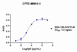 Click to enlarge image Indirect ELISA using CPTC-MSH3-1 as primary rabbit antibody against BSA-conjugated peptide, CDLSDFPLIK, coated on the plate and detected using goat anti-rabbit antibody and TMB.