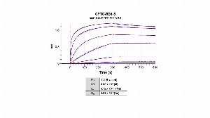 Click to enlarge image The affinity and binding kinetics of CPTC-RB1-5 antibody and BSA-conjugated phosphorylated peptide “TAVIPING-pS-PR" were measured using biolayer interferometry. BSA-conjugated peptide was covalently immobilized onto AR2G biosensors using standard amine coupling.   CPTC-RB1-5 antibody, 1024 nM, 256 nM, 64 nM, 16 nM, 4 nM, 1 nM and 0.25 nM, was used as analyte. Buffer only and biosensors immobilized without BSA-conjugated peptide were used as references for background subtraction. All data was analyzed globally using a 1:2 bivalent model.