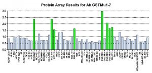 Click to enlarge image Protein Array in which CPTC-GSTMu1-7 is screened against the NCI60 cell line panel for expression. Data is normalized to a mean signal of 1.0 and standard deviation of 0.5. Color conveys over-expression level (green), basal level (blue), under-expression level (red).