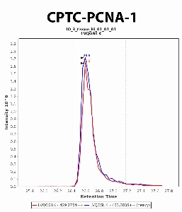 Click to enlarge image Immuno-MRM chromatogram of CPTC-PCNA-1 antibody (see CPTAC assay portal for details: https://assays.cancer.gov/CPTAC-6236)
Data provided by the Paulovich Lab, Fred Hutch (https://research.fredhutch.org/paulovich/en.html). Data shown were obtained from frozen tissue