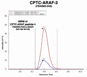 Click to enlarge image Immuno-MRM chromatogram of CPTC-ARAF-3 antibody with CPTC-ARAF peptide 4 (NCI ID#00148) as target