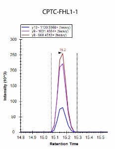Click to enlarge image iMRM data obtained using antibody CPTC-FHL1-1 to immuno-precipitate peptide AIVAGDQNVEYK (CPTC-FHL1 Peptide 1)

Data provided by the Carr Lab, Broad Institute
https://www.broadinstitute.org/proteomics/protocols