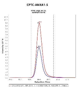 Click to enlarge image "Immuno-MRM chromatogram of CPTC-ANXA1-5 antibody (see CPTAC assay portal for details: https://assays.cancer.gov/CPTAC-5939)
Data provided by the Paulovich Lab, Fred Hutch (https://research.fredhutch.org/paulovich/en.html)"